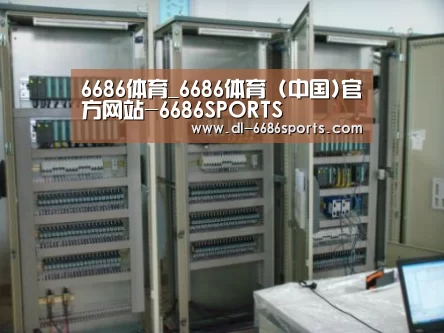 6686案例展示五